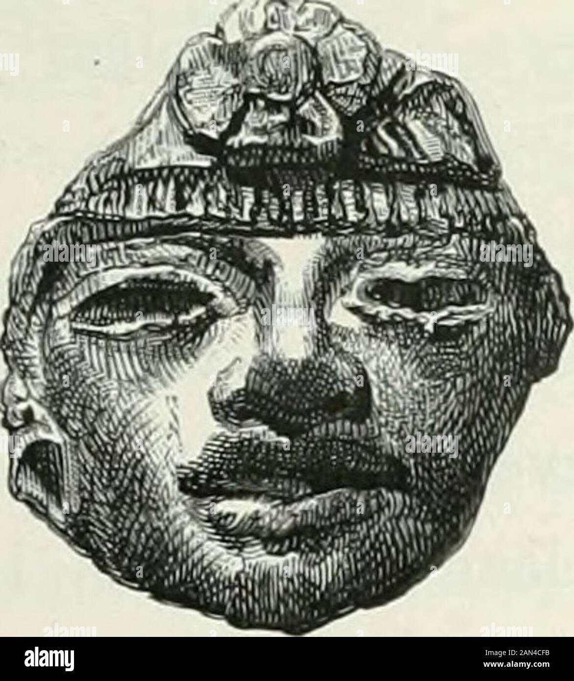 América pintoresca; descripcion de viajes al nuevo continentale por los mas modernos experadores . Foto Stock