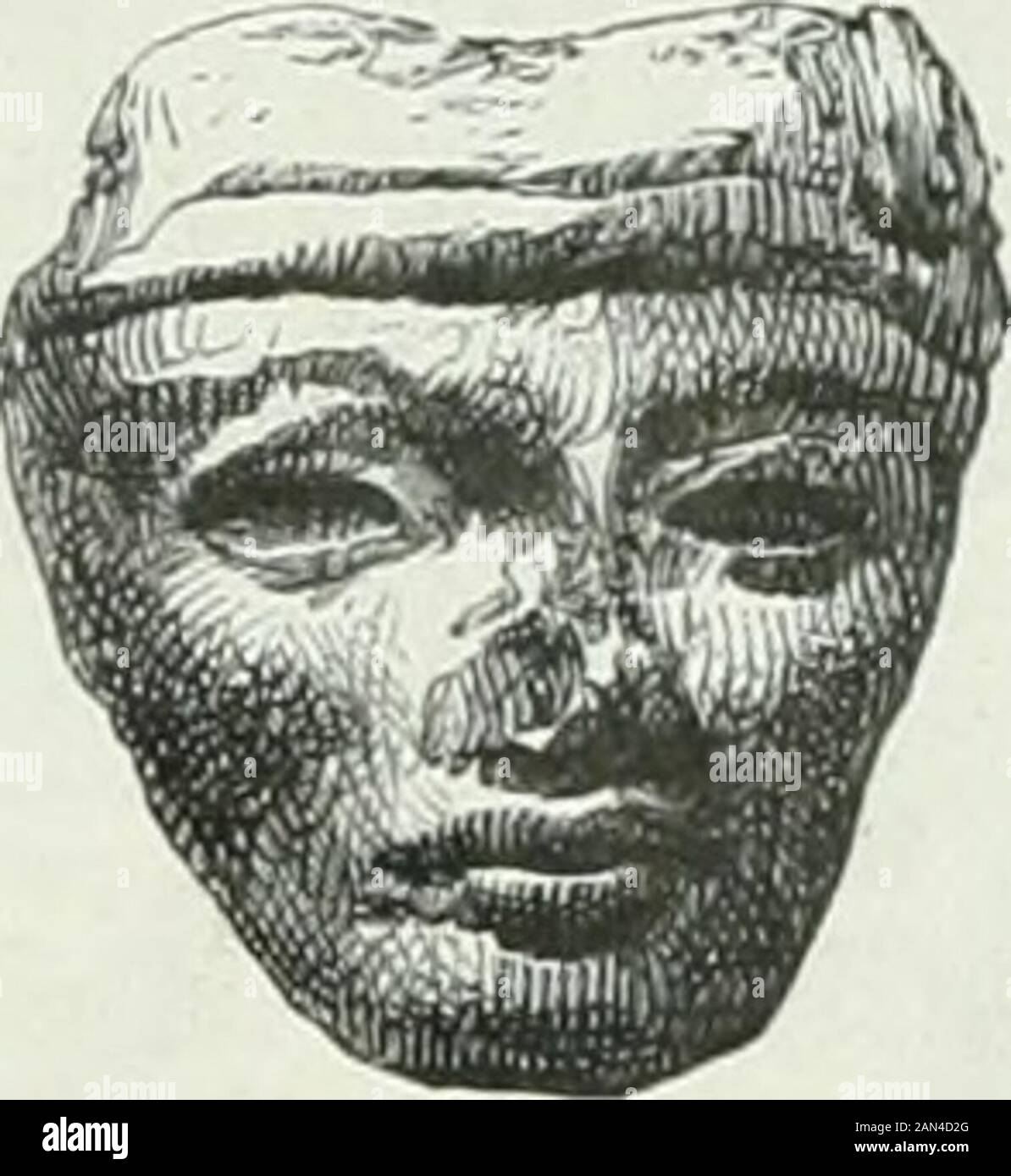 América pintoresca; descripcion de viajes al nuevo continentale por los mas modernos experadores . Foto Stock