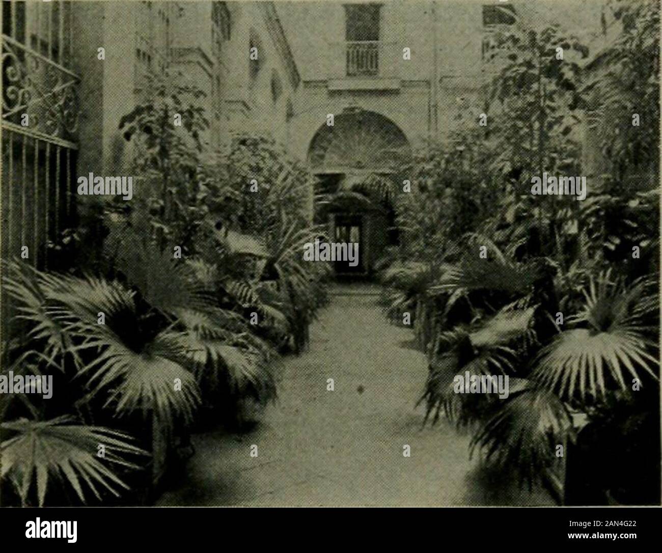 Guida standard a Cuba : una nuova e completa guida per l'isola di Cuba, con mappe, illustrazioni, itinerari di viaggio, storia, e una frase inglese-spagnola. L'ALCAZAR Prado 121, Di Fronte al Colon Park HAVANA. Cuba Sig.ra M. T. FERRADANES, Managrer Situato sul Prado ; più alta e finestlocation in città, di fronte India e ColonParks. Auto elettrica per tutte le parti della città e sobborghi. Condotto su American Plan.Moderate Rates. Gli interpreti incontrano tutti i steamers e attendtO i desideri degli ospiti in ogni dettaglio. Hotel Brooklyn Prado 97, Havana Family Hotel And Restaurant. Completo Foto Stock