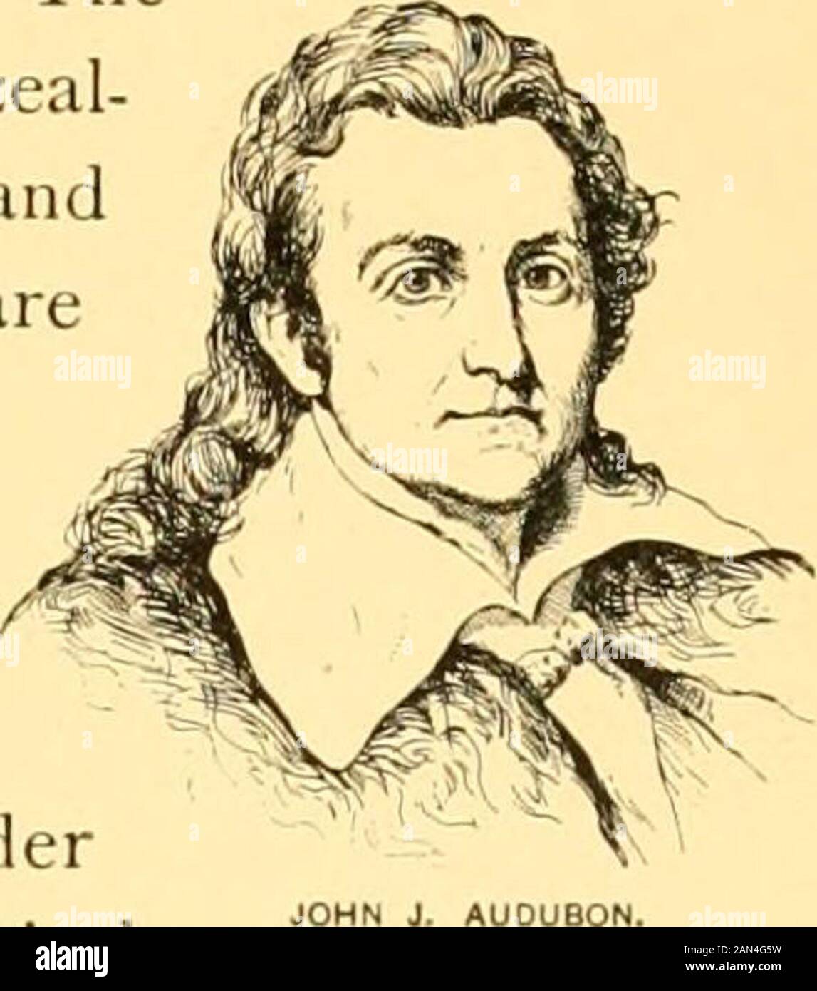 La storia della famiglia degli Stati Uniti e dei suoi cittadini, per i giovani americani . SCIENZA, LETTERATURA E ARTE. 389. Grande divisione naturale del paese è rappresentata in Latethe attuale gruppo di scrittori. Gli autori più vecchi erano poeti ed essayisti werechiefly; quelli di oggi danno loro stessi più a opere di finzione e umorismo. Thelater uomini di lettere ora in servizio attivo sono studenti ardenti della nostra vita. Le maniere e il carattere degli americani in città e paese aredescritto con pienezza in recenti opere offiction, e le variazioni dialettali e folk-discorso di quasi ogni parte dell'Unite Foto Stock