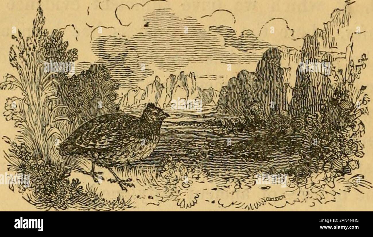 La verità della Rivelazione : dimostrato da un appello ai monumenti esistenti, sculture, gioielli, monete e medaglie . i costumi e topographicalscenes di queste meravigliose terre, una perpetuità andimmutability commisurate e coincidente con theawful ed eterna cose che essi sono progettati per com-memorate. Anche la distruzione di arabi, come se lo spell-legato, non osa obliterare le loro. La natura ha stampedher sigillo di sicurezza su questi climi memorabile;cambiare le bobine non è il ciclo delle sue mutazioni sopra di loro ;sono sigillati memoriali risparmiata da tutti. I pozzetti di Elim, protetto dal movimento sandsof il des Foto Stock