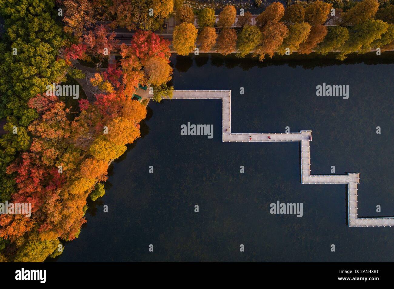 Una veduta aerea della East Lake, un grande lago di acqua dolce entro i limiti della città, con giallo-leafed piante che circondano, nella città di Wuhan, Cina centrale di Foto Stock