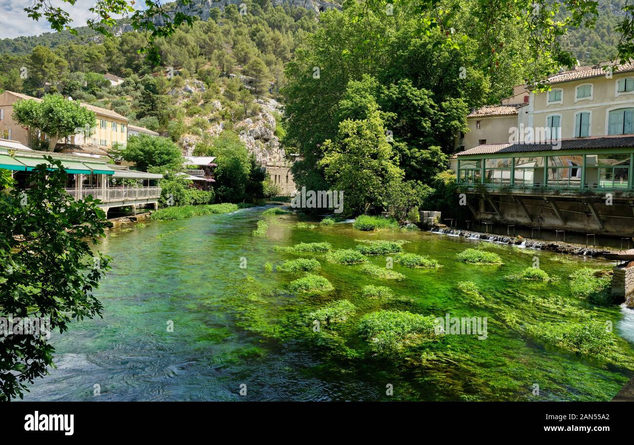 Il waterweeds nel fiume Sorgue a Fontaine-de-Vaucluse sono un quasi innaturalmente intense tonalità di verde Foto Stock