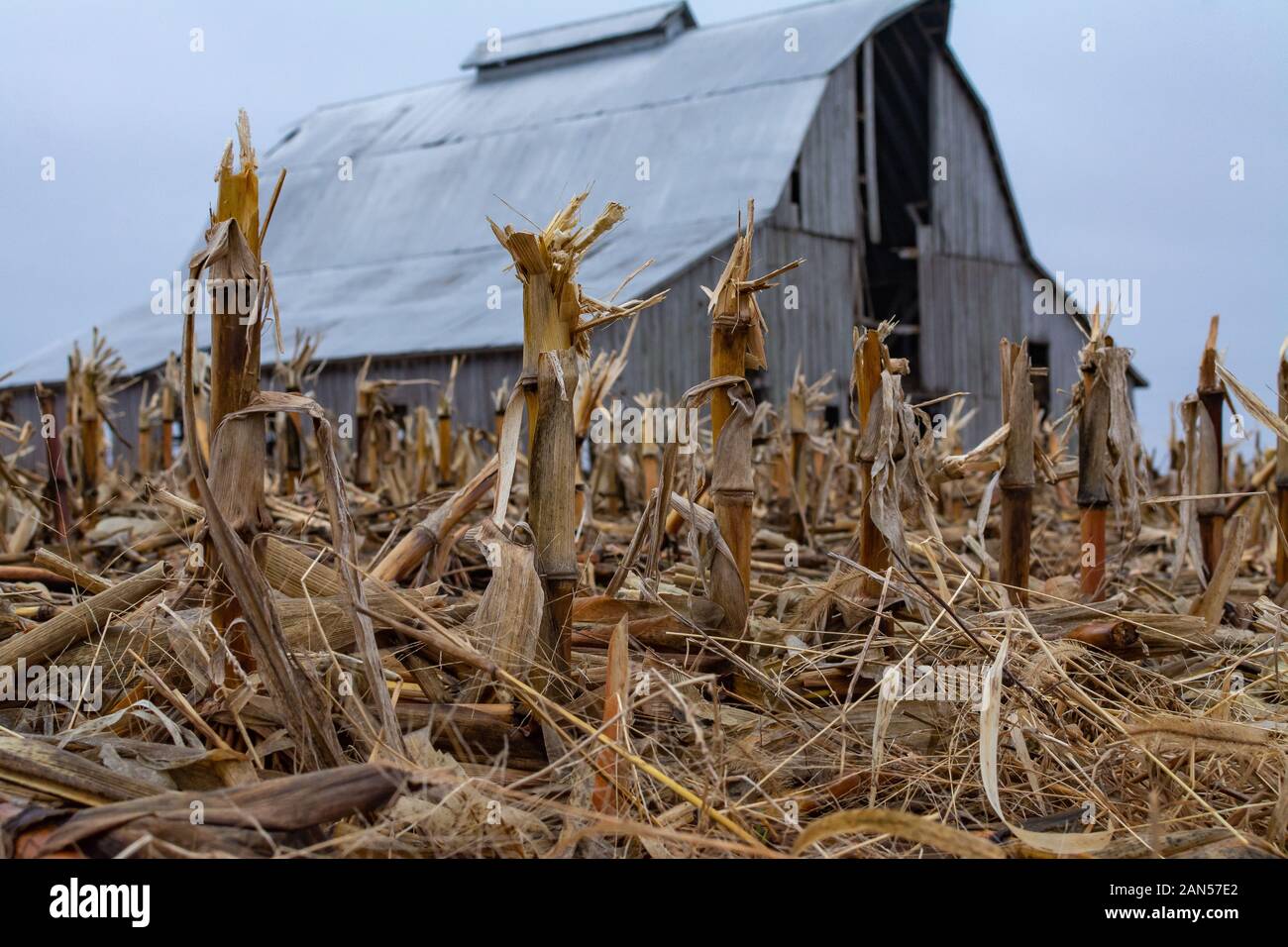 Il vecchio fienile vintage nel Midwest su un nuvoloso inverno mattina. DeWitt County, Illinois, Stati Uniti d'America Foto Stock