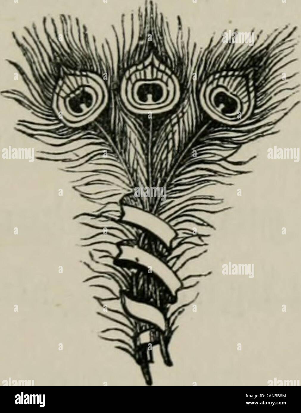 Ralph Ryder di Brent : un romanzo . ed abad uomo, e si può dire di lui ho saidso. Prendete il mio consiglio ; ora, mentre egli è VOL. II. 23 34 RALPH RYDER DI BRENT giacente malato, e non riesco a venire dopo di voi goaway torna ai tuoi amici. Si bequite sicuro da lui, per, quando egli oncesuspects che voi sapete che egli è, hewont il coraggio di seguirti. E dontattempt trovarmi faccia a faccia con LadyEllen. Sebbene odia suo marito,lei non è affatto probabile che vi amano. Eper dirvi la verità, bambino, andato onMrs. Calverley, con una improvvisa espansione impulseof, ho shant poter resttill siete andati. Per sapere che cosa una coppia Foto Stock