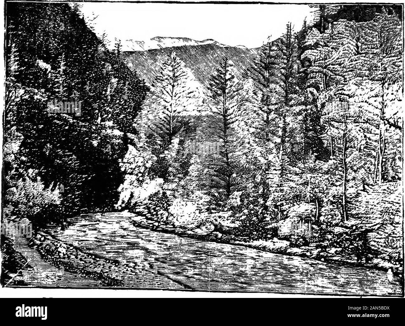 Stampa commerciale geografia della Cina . Ponte Crakosba ngab 36 geografia della Cina SZECHWAN m ) ^) Area 218,000 miglia quadrate CAPITALE, CHENGTU (^ M J^) Szechwan è un grande, di navigazione e popolosa provincia. Esso hasmore terra e più persone di ogni paese dell Europa occidentale.Se altre parti del paese dovrebbero venire a danno, alimentazione Szechwancould monej^ e uomini per aiutarli a. Cucina Szechwan è la più grande delle diciotto province, in areaas bene come in una popolazione. Una grande parte della provincia ismountainous. Nella parte centrale è un altopiano fertile, calledthe bacino rosso o il Cheng-tu pianura. Attraverso questa ricca Foto Stock