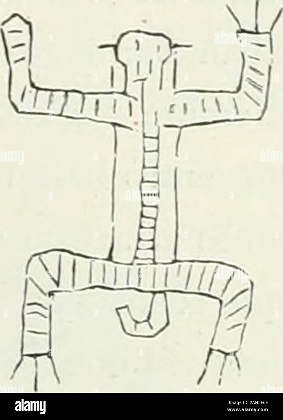 América pintoresca; descripcion de viajes al nuevo continente por los mas modernos exploradores . fí^ Pájaro Escorpión Tortuga Foto Stock