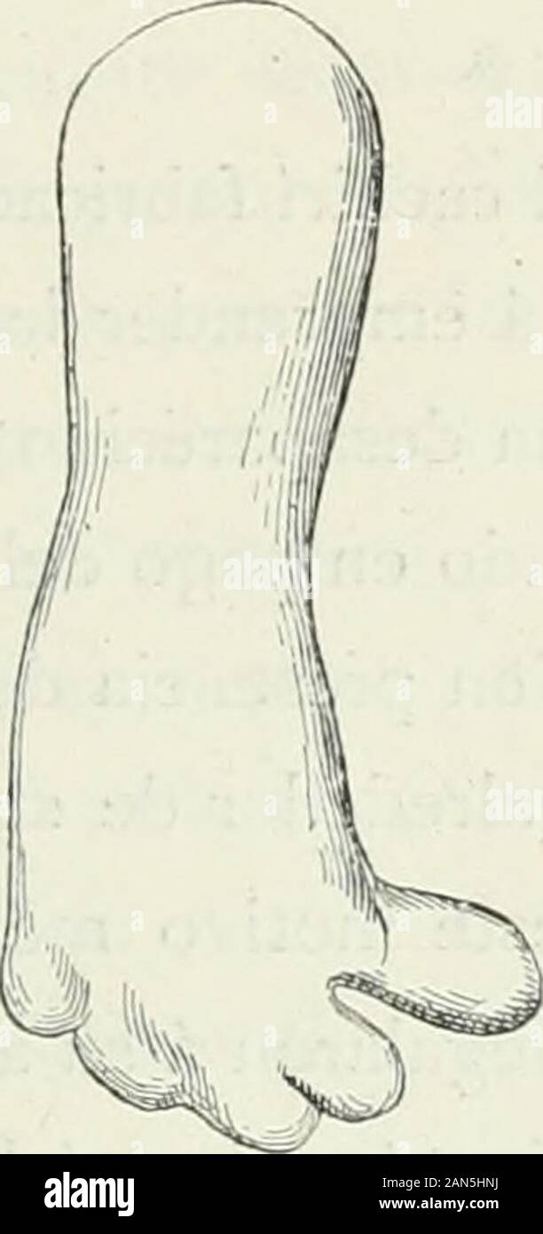 América pintoresca; descripcion de viajes al nuevo continentale por los mas modernos experadores . Foto Stock