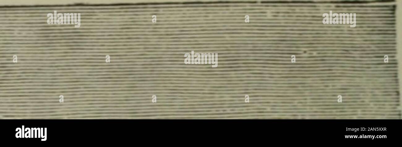 Emily armi immagini e fotografie stock ad alta risoluzione - Alamy