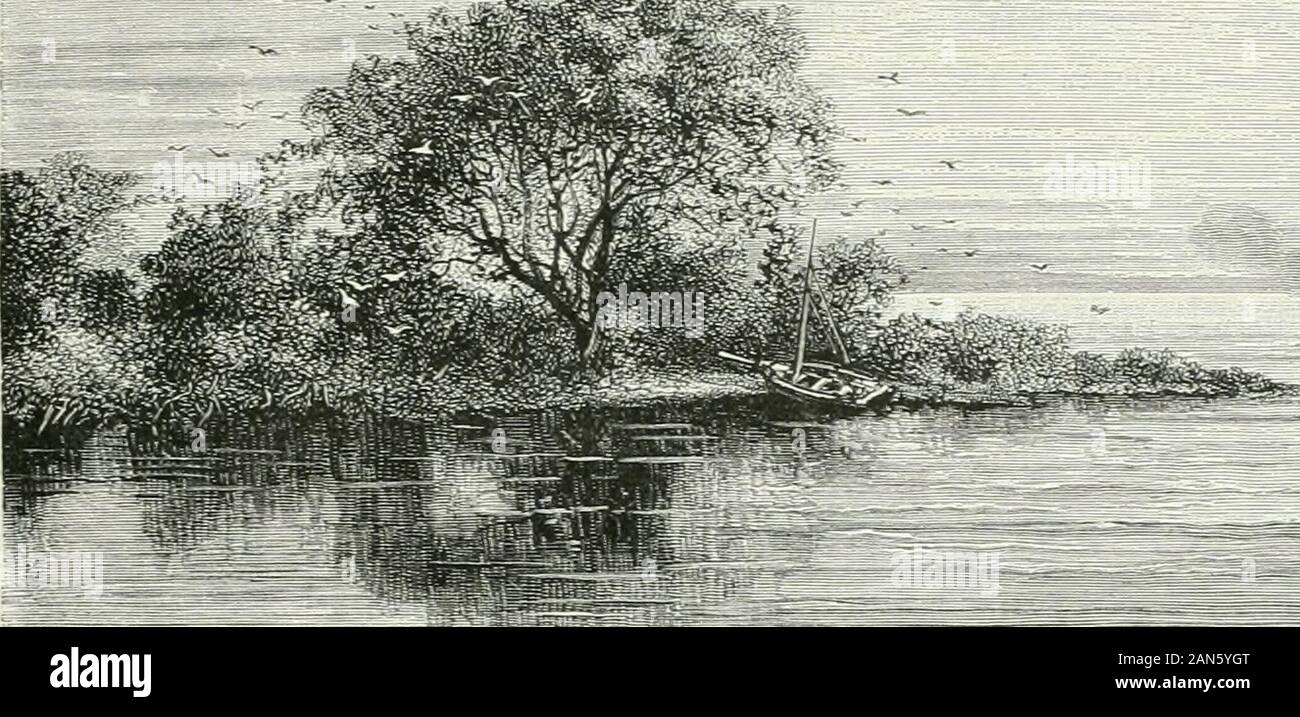 América pintoresca; descripcion de viajes al nuevo continente por los mas modernos exploradores . ^-è^^te.. Foto Stock