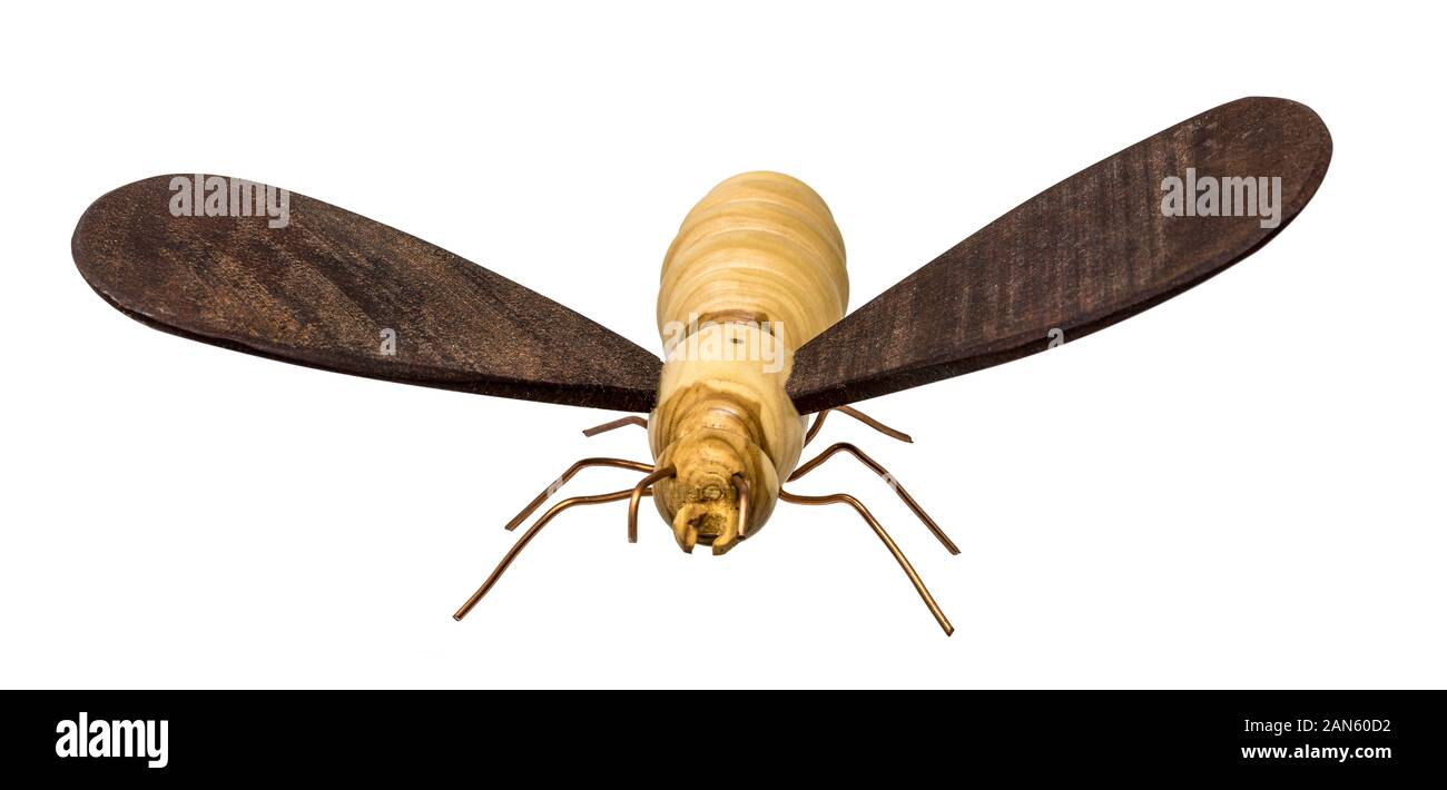 Modello di ape in legno tornito con ali scure isolate su bianco