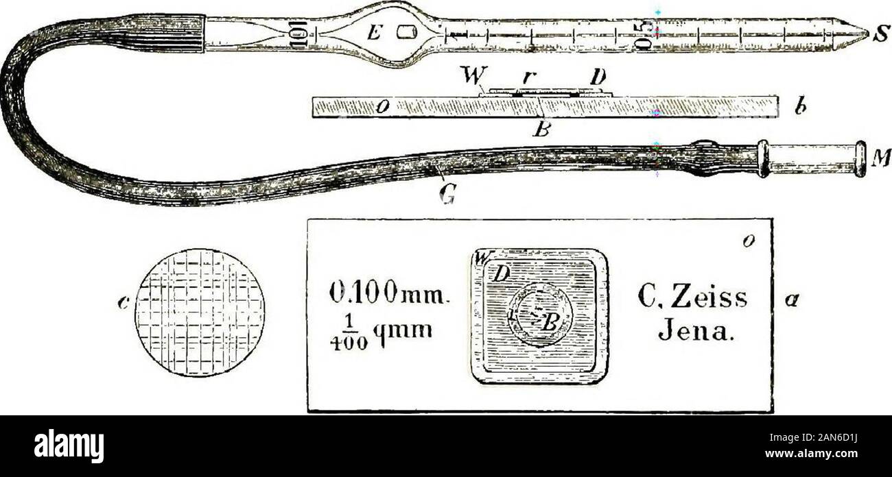 I segni della malattia interna, con una breve considerazione dei principali suoi sintomi . tingthe corpuscoli del sangue è il citometro di Thoma-Zeiss, manufacturedby Zeiss. Esso è costituito da una pipetta di diluizione per i globuli rossi,un'altra per il bianco, appositamente un terreno di copertura in vetro e un conteggio ?242 esame della camera di sangue nella parte inferiore della quale è posizionato un disco ^ governata in lati squareswhose misurare 1-20 mm. e le cui aree sono pertanto 1 e 400di un millimetro quadrato. La profondità della camera quando il coperchio è in vetro in posizione è 1-10 mm. Quando la camera è riempita la con-tende Foto Stock