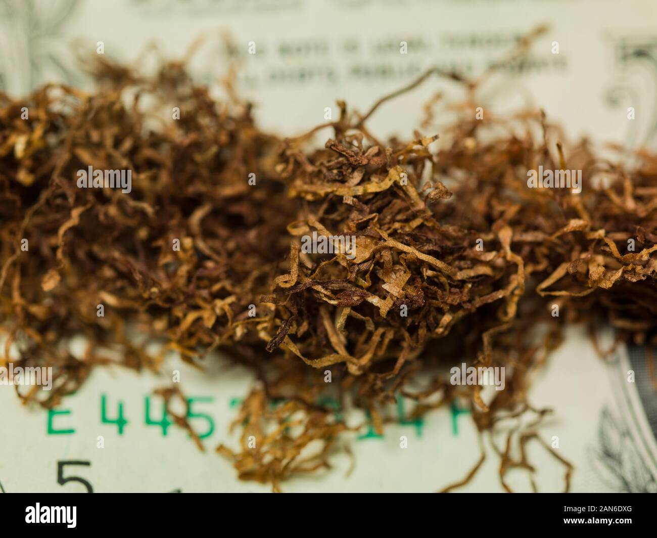 Il tabacco da fiuto su un dollaro, bruciato denaro Foto Stock