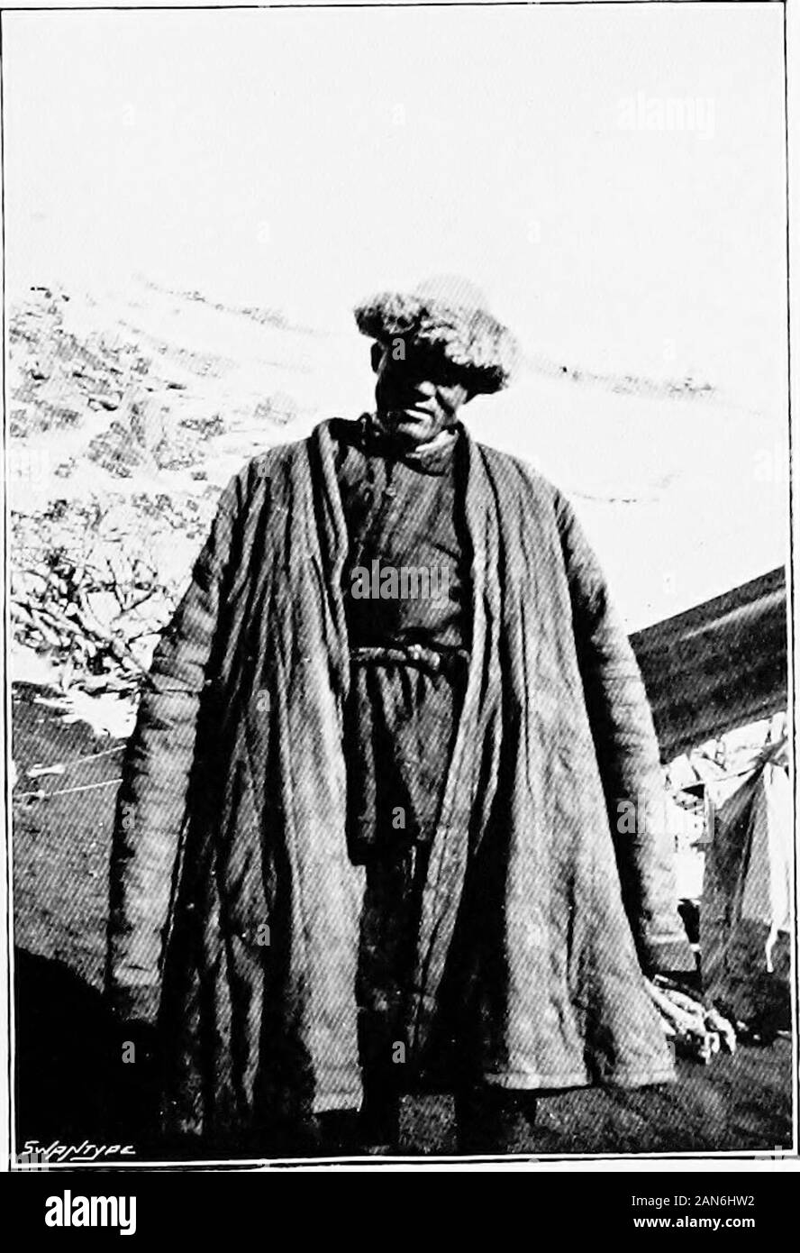 Turkestan cinese con roulotte e il fucile . WAPITI MASSA. Di fronte pagina 70 SPORT IN TEKKES: WAPITI 71 soggiorno con i pony nel caso in cui abbiamo lasciato loro di provare astalk. Abbastanza sicuro il cervo erano lì, per attualmente weheard un cervo chiamata, lontana e sotto ; itwas qualche tempo prima che esso è stato ripetuto, ma asevening è venuto su altri ha preso, finché non vi werefour o cinque cervi chiamando ad intervalli in samevalley. La chiamata non è un ruggito a tutti, ma un urlo e isdifficult per descrivere; è qualcosa tra abugle e cavalli whinny con lo shake lasciato fuori,e in favorevoli condizioni di vento un Foto Stock