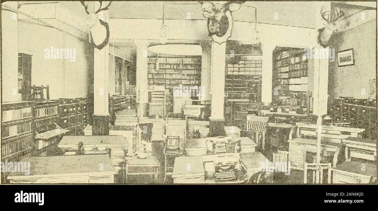 Brooklyn e Long Island in guerra; . Associare gli Stati ofNew York Clearing House FILIALI Bay Ridge Branch-Terza Ave. e cinquanta-primo San Broadway Branch-Broadway, accanto alle porte Ave. Fifth Avenue Branch-Quinta Avenue e il nono St.Fulton Branch-356-358 Fulton St.Nassau Branch-Bedford Avenue e Broadway. Ramo di Schermerhorn-Terza Ave. e Schermerhorn St.ventiseiesimo Ward Branch-atlantico e la Georgia Aves. BROOKLYN E LONG ISLAND IN GUERRA. 191 E^ ^a stabilito 50 anni STEVENSON & MARSTERS.nc cartolai e Office Outfitters arte metallo e globo-MOBILI WERNICKEOFFICE armadietti scaffali Foto Stock