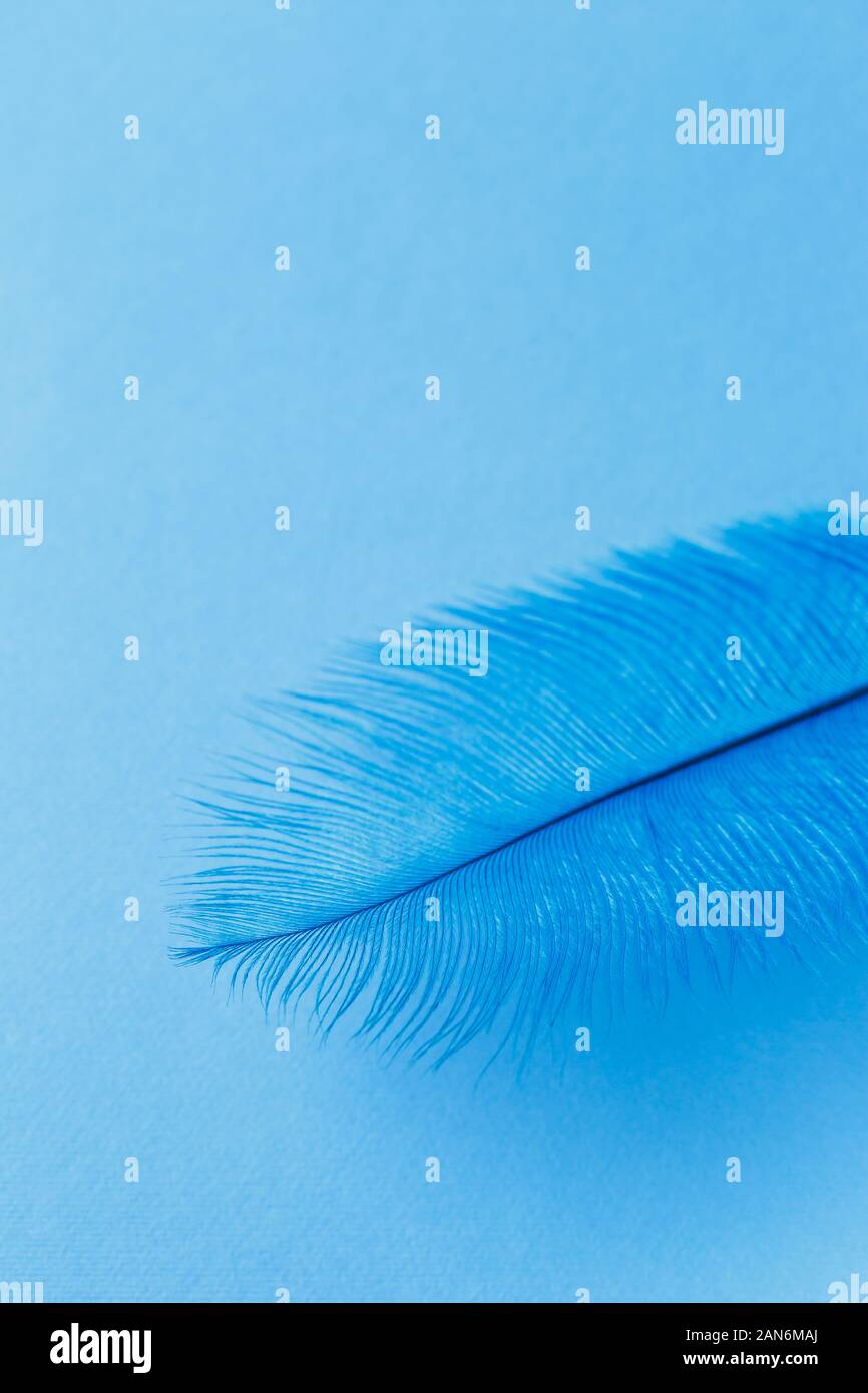 Abstract verticale con uno sfondo blu di soffice piuma e spazio per il testo Foto Stock