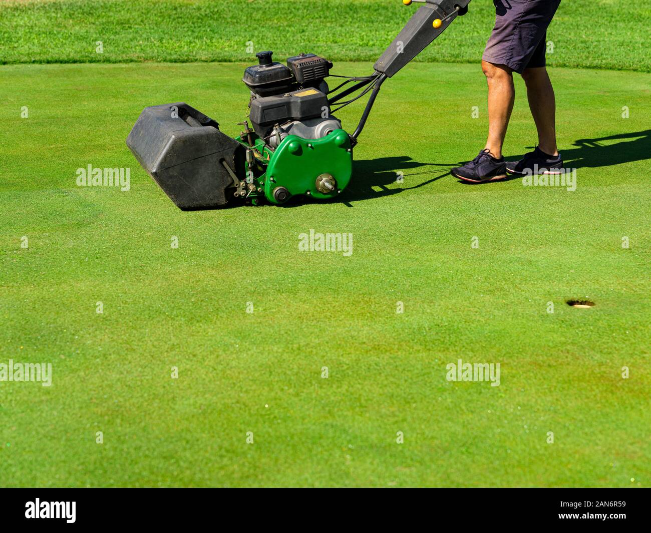 La manutenzione di un putting green di un campo da golf Foto Stock