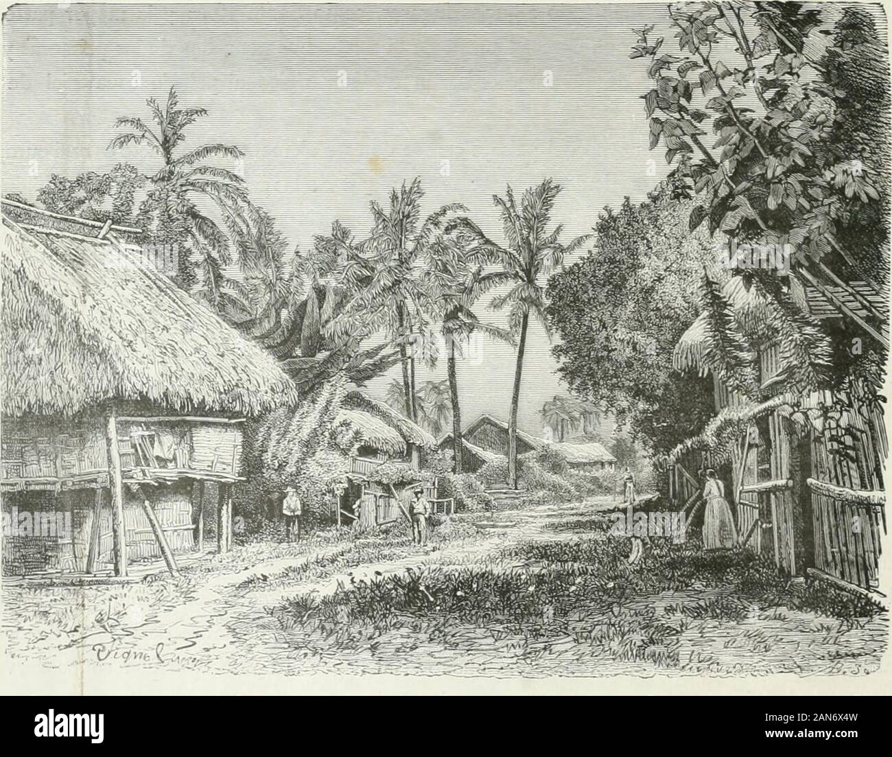 América pintoresca; descripcion de viajes al nuevo continente por los mas modernos exploradores . ecacao, se cuenta onu generalmente duro por mata, peccato aumento Más por las Casas y el terreno. Los cacaos forman tres coronas que se atrofian sucesivamente, nessun subsistiendo más que lasuperior. Las Flores masculinas y femeninas brotan en el tronco unas veces, y otras en las ho 6 AMERICA PINTORESCA ramas, desde la tierra hasta la copa. En onu mismo árbol se puede ver al mismo tiempo la flornaciente, la vaina verde y el dorado fruto maduro y. Hácese la recolección con largas varas ó pértigas, que llean Foto Stock