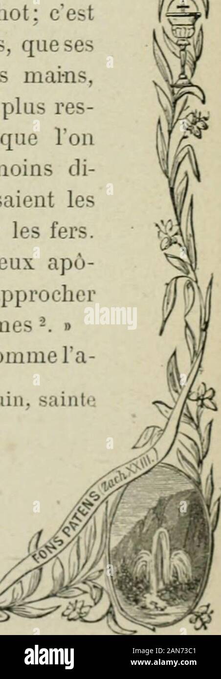 Les i simboli de la Croix . ez à vous glo-rifier dans la sedia, que ce soit quand vous souf-frirez pour le nom de Jésus-Christ. Le feu, le FER,les bètes, Les croix en onu mot, voilà vraimentquels sont les précieux joyaux, et les plus beauxornements du corps . " " Ce que jenvie et ammirare dans saint paul, &gt;-disait saint Jean Chrysostome, " cest moins sonravissement au paradis, que figlio cachot; cestmoins les mystères qui lui furenti révélés, que seschaînes et ses souffrances. 0 rete heureuses,que CCS fers ont décorées ! Elles sont plus res-plendissantes que lor, et ce que diadème lonmet sur la tè Foto Stock