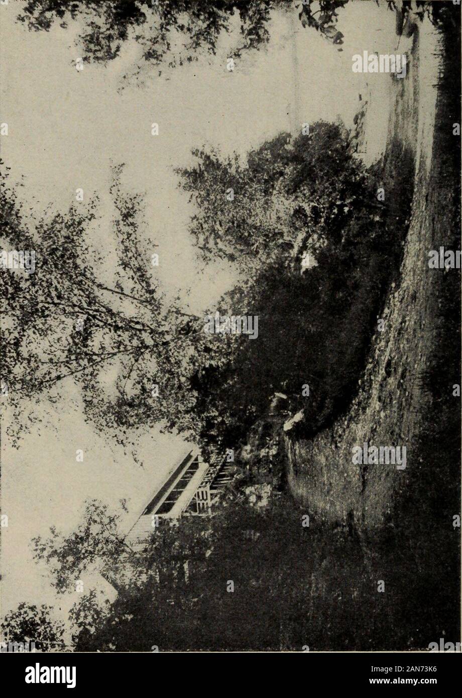 Sport e piacere nella valle dell'Ottawa . Gli edifici del Parlamento europeo, DAI PRINCIPALI HILL PARK. Le caratteristiche del paese e della sua gente. Gli esploratori Thesehardy restituiti al loro grande capo con la Marvel-lously emozionanti storie di la bellezza e la grandezza della thecountry attraverso i quali essi avevano viaggiato. La loro grande leader era talmente affascinato dai loro considerandi, che fece uphis mente mai a cessare i suoi sforzi fino a che egli aveva sondato theroute per se stesso, sperando, come fece, per trovare alla fine awestern o mare del Nord aprire la strada per la Cina,che tanti avevano cercato invano. Non è stato a lungo b Foto Stock