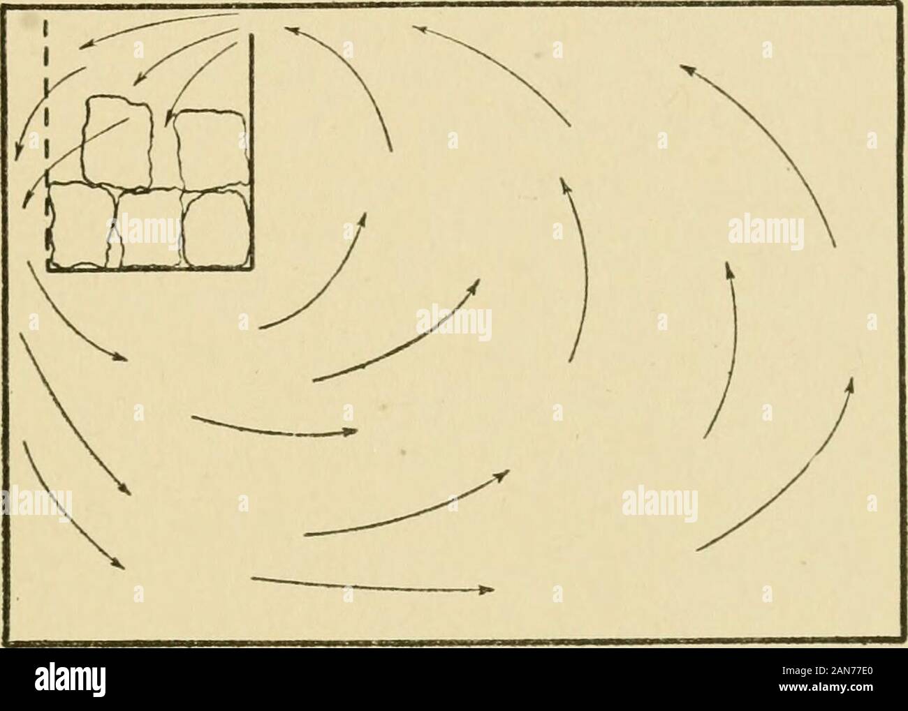 La gestione di stabilimenti lattiero-caseari . ced in un bunker di sovraccarico e di solito a una estremitàdel il frigorifero. Il frigorifero è frequentemente costruite againstan parete esterna attraverso il quale una piccola porta di frigorifero admitsice da esterno per il bunker di ghiaccio. Lasciando questa porta openduring notti fresche, il frigorifero può essere mantenuto in buone condi-zione senza ghiaccio durante una buona parte dell'anno. Per lastre di lana minerale e Lith assicella del metallo dovrebbe essere utilizzato per trattenere theplaster. La refrigerazione 59 il bunker di ghiaccio dovrebbero essere collocati e costruiti in modo tale che itwill provocano la circolazione dell'aria nel frigorifero. Questo è d Foto Stock