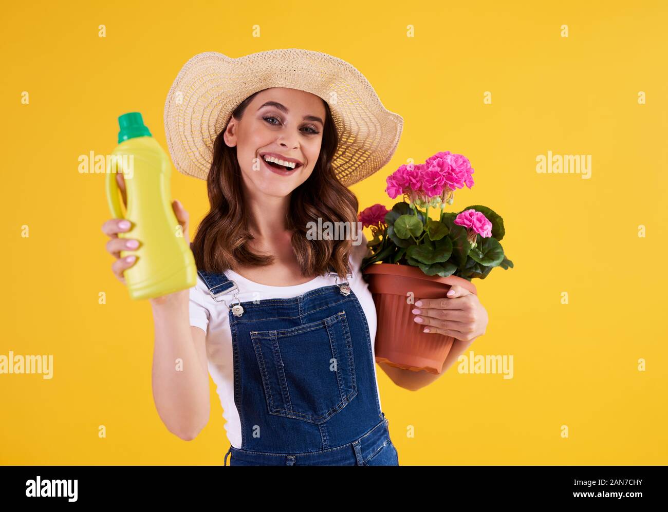 Giardiniere femmina tenendo il fertilizzante e vaso di fiori con pelargonium Foto Stock