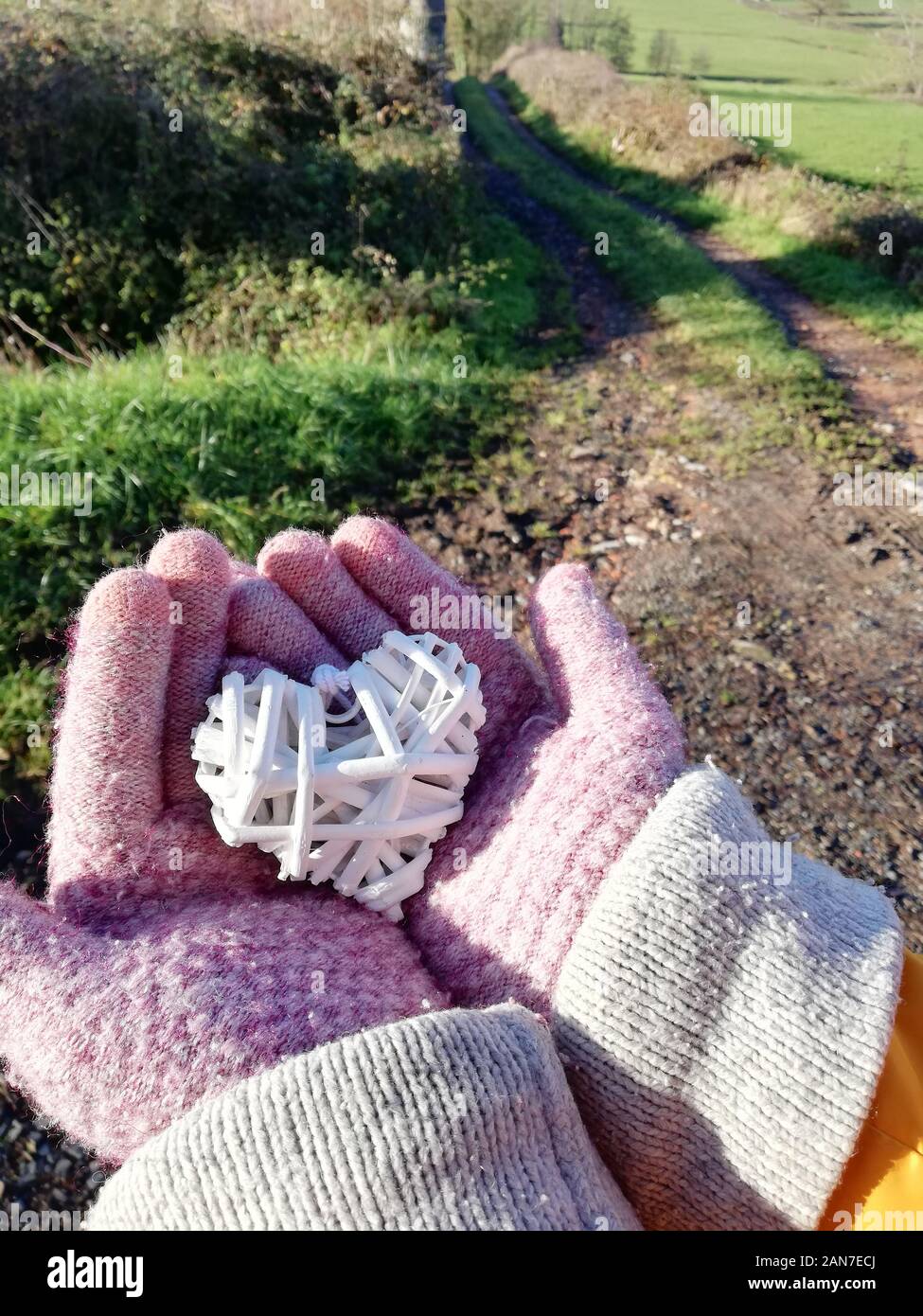 Donna con guanti rosa che tiene un cuore di paglia di legno bianco nelle sue mani davanti ad una lunga strada e colline verdi Foto Stock
