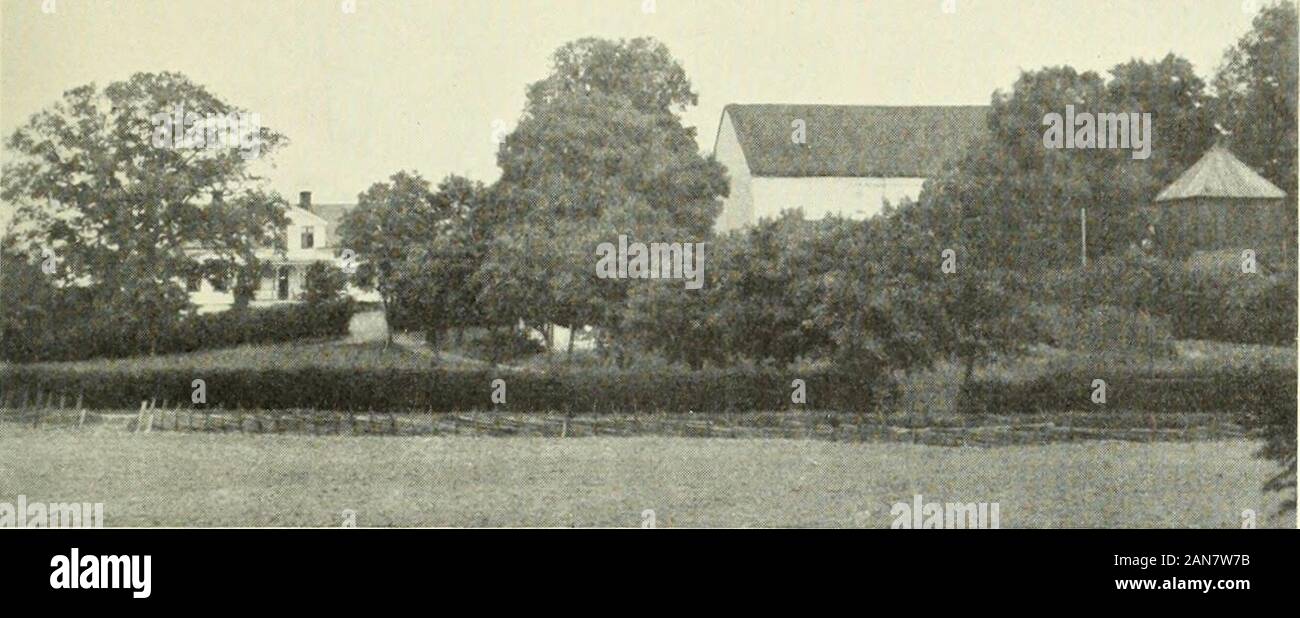 ÖstergötlandÀv Andreas Lindblom . FOTOGRAFIERNA FRÅN BANKEKINDS HÄRADS KYRKOR ÄRO, DÄ K EJANNORLUNDA ANGIVES, TAGNA AV FÖRFATTARE KYRKOBESKRIVNINGENS.. Fig. 1. Askety kyrki Die Kirche und das Pfarrhaus •Suden. hurrh canonica e dal sud. ASKEBY KYRKA ÖSTEKGÖTLAND, ÖSTERGÖTLANDS LÄN, BANKEKINDS HAKAD LINKÖPINGS STIFT, BANKEKINDS KONTKAKT av ANDREAS LINDBLOM Tryckta källor. C. J. Gråsten, Askabyanum in Ostrogothia cenobio . . Sub prsesidioNic. Stoba;i. . (Diss. ho Lund, 1741). - Broocman, s. 239-242. - Widegren, I, s. 569-572. -C. G. Brunius, Konstanteckningar sotto en resa... (1849) Foto Stock