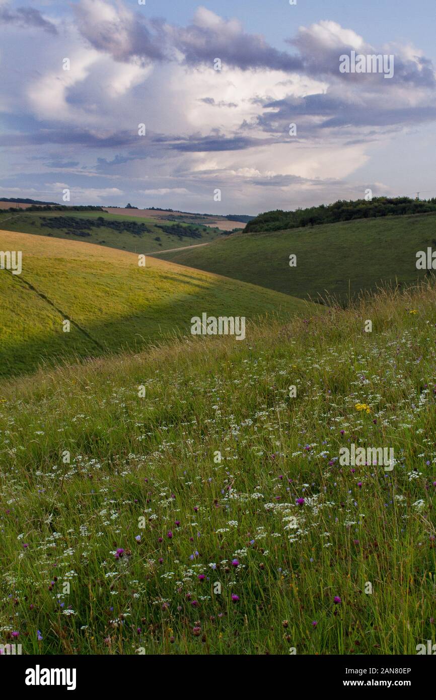 Yorkshire Wolds Valle Gesso Foto Stock