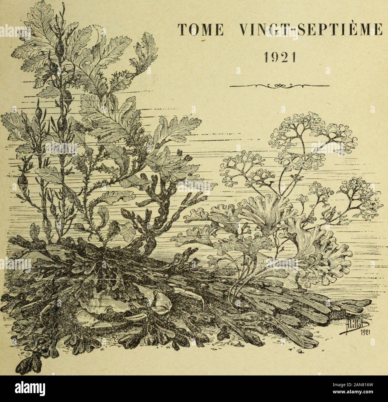 Bulletin du MuseÌum d'histoire Naturelle . PARISIMPRIMERIE NATIONALE MDGCCCXXI BOLLETTINO FARE MUSÃUM NATIONAL DHISTOIRE NATURELLE bollettino v^32^.M DU MUSÃUM NATIONAL DHISTOIRE NATIHELLE. ANINEE 1921. Â iT 1 MI95^ REUNION DES NATURALISTES DU MUSEUM 27 janvier 1921. PHKSIDENCE DE MM. E.-L. BOUVIKI ASSESSEUR DU DIRECTEUR, ET L. ROULE, PROFESSEUR AU MÃ¯JSKUM. ACTES ADMINISTRATIFS. M. LE PrÃ©residente dÃ©pongono sur le buieau le septiÃ¨me et dernierlascicule du Bullelin pour TannÃ©e 1920, contenant les communica lions laites dans la rÃ©Unione du 28 dÃ©cembre 1920. W. LE pRÃsiDiii&GT;T donne conoscenza des n Foto Stock