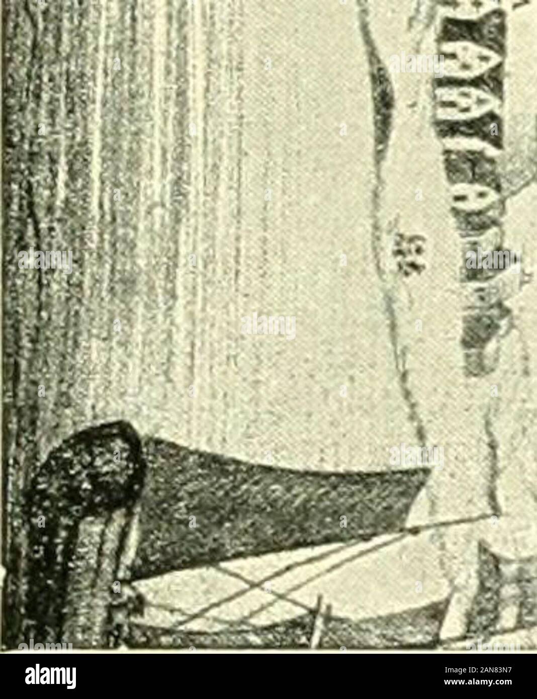 Gli immigrati scandinavi in New York, 1630-1674; con appendici su scandinavi in Messico e in America del Sud, 1532-1640, scandinavi in Canada, 1619-1620, alcuni scandinavi in New York nel XVIII secolo, immigrati tedeschi in New York, 1630-1674 . avages whoburn e uccidere qualsiasi cosa afferra nei boschi, su theKill o altrove. Questo il deponents dichiarano di essere corretto andtrue, ecc. Fatto il 3d del novembre 1643 a Fort Amsterdam. t&GT;x firma di Pieter Laurenszen Kock. Roeloff Jansen Haes.5"2 il 28 marzo 1647, Kock ha acquistato un sacco su Manhattan Island,di fronte H. Kip.^6^ I Foto Stock