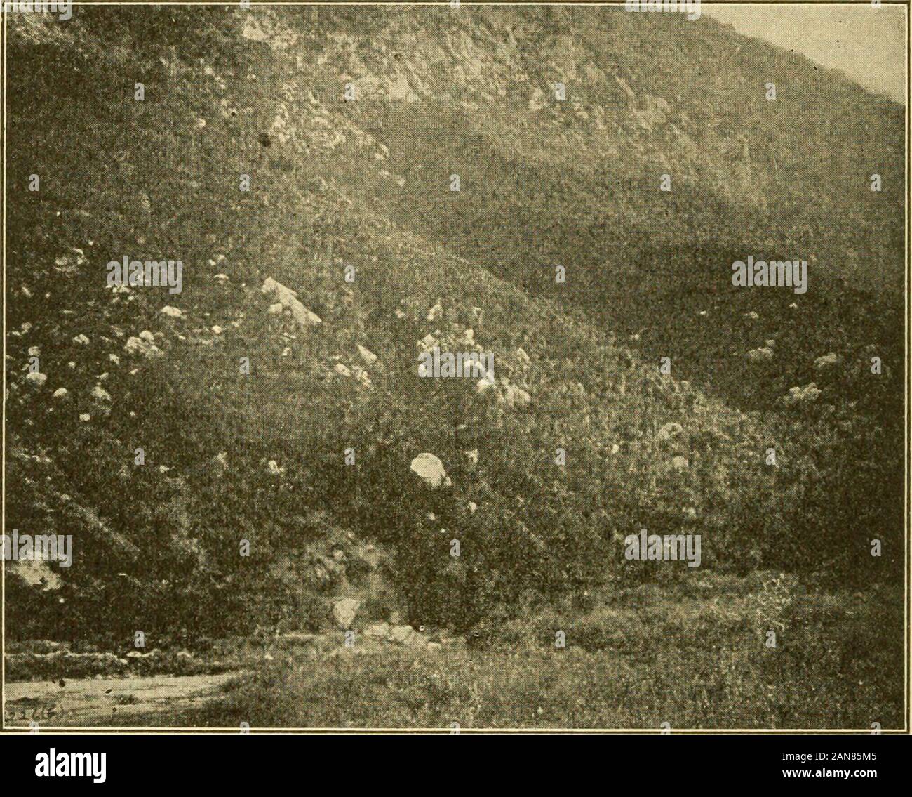 Il mondo antico, fin dai primi tempi a 800 annunci . sy a difendere. Inoltre, la lunga islandof Eubea si avvicinò la terraferma proprio di fronte il pass, in modoche la flotta greca in stretto canale potrebbe guardia del landarmy contro le truppe avente sbarcati nella parte posteriore. La flotta greca in questo posto numerato 270 navi. Di thesethe ateniesi arredate metà. L'Admiral era uno spartano,anche se la sua città inviati solo sedici navi. La difesa terrestre hadbeen a sinistra per il Peloponneso league. Questo è stato il dazio supremelyimportant ; ma la forza che Sparta aveva inviato a attendto, è stato vergognosamente piccola. Il Spart Foto Stock