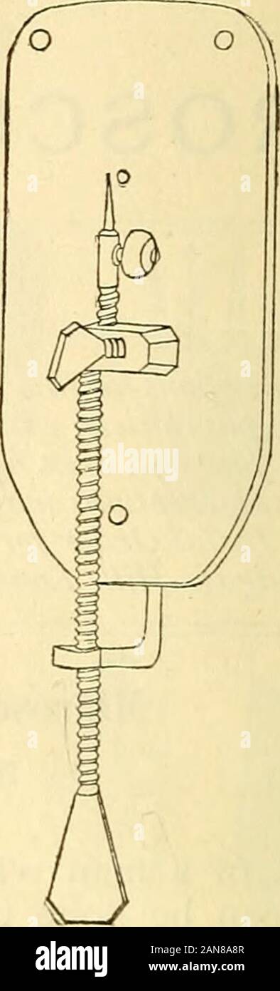 Il mensile americano microscopiche ufficiale . -Il davanti. Leeuwenhoeks Mickoscope.- La Fig. 2.-back.-dimensione naturale. andare in particolari. Egli è stato prudente, troppo, circa mostrando loro, evidentlyfearing che essi potrebbero essere copiati e forse ha superato. Egli li willmglyshowed soltanto a questi personaggi di spicco come Pietro il Grande, whovisited lui nel 1698, e al Queen Mary, che siamo anche andati a vedere lui. Leeu-wenhoeks prudenza, tuttavia altri uomini scientifica angrv e theyaccused lui di prendersi cura di più per lodare rispetto per la verità delle sue scoperte. Fu solo dopo la sua morte, nel 1723, che il segreto della sua Foto Stock