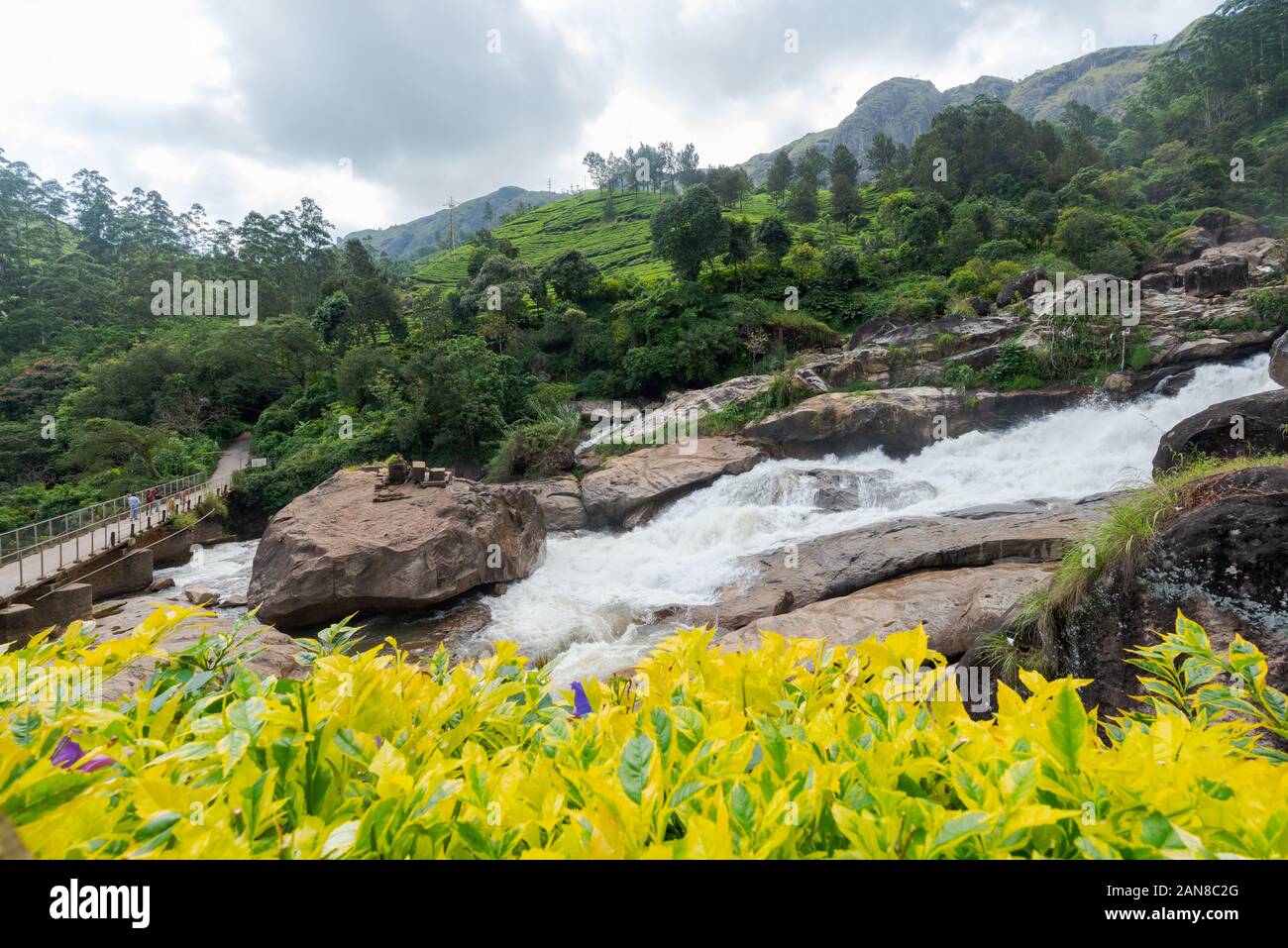 Cascate Atukkad vicino a Munnar in Kerala, India del sud sul giorno nuvoloso nella stagione delle piogge Foto Stock