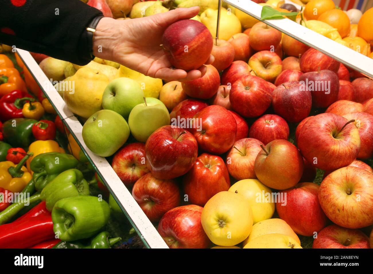 Berlino, Germania. 16 gennaio, 2020. Vari tipi di frutta e verdura saranno esposte nella sala del ministero federale dell'agricoltura durante la seconda giornata della stampa prima dell'inizio dell'International Settimana verde. Alla più grande fiera mondiale di prodotti alimentari, agricoltura e orticoltura si svolgerà dal 17 al 26 gennaio 2020. Credito: Wolfgang Kumm/dpa/Alamy Live News Foto Stock