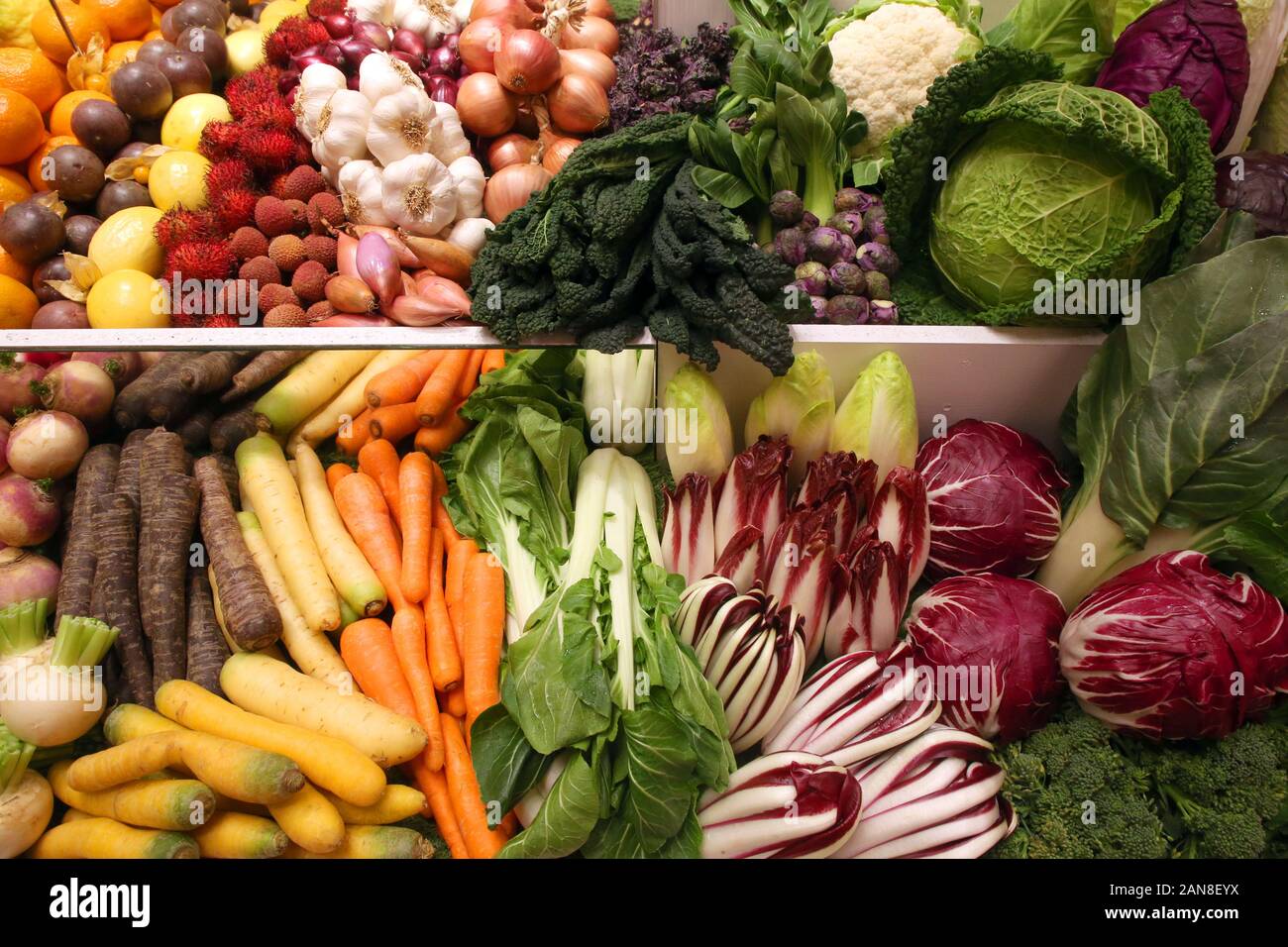 Berlino, Germania. 16 gennaio, 2020. Vari tipi di frutta e verdura saranno esposte nella sala del ministero federale dell'agricoltura durante la seconda giornata della stampa prima dell'inizio dell'International Settimana verde. Alla più grande fiera mondiale di prodotti alimentari, agricoltura e orticoltura si svolgerà dal 17 al 26 gennaio 2020. Credito: Wolfgang Kumm/dpa/Alamy Live News Foto Stock