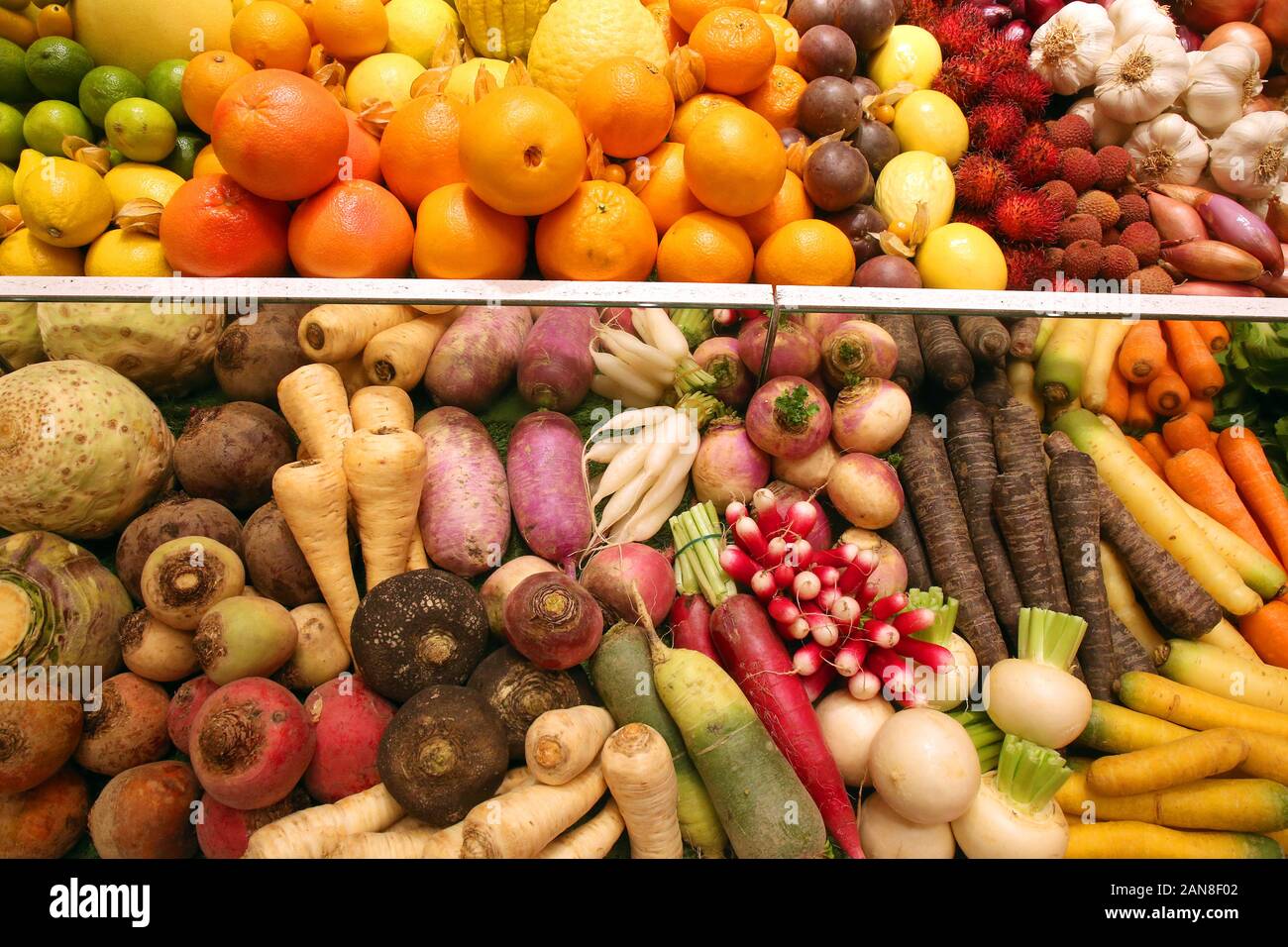 Berlino, Germania. 16 gennaio, 2020. Vari tipi di frutta e verdura saranno esposte nella sala del ministero federale dell'agricoltura durante la seconda giornata della stampa prima dell'inizio dell'International Settimana verde. Alla più grande fiera mondiale di prodotti alimentari, agricoltura e orticoltura si svolgerà dal 17 al 26 gennaio 2020. Credito: Wolfgang Kumm/dpa/Alamy Live News Foto Stock
