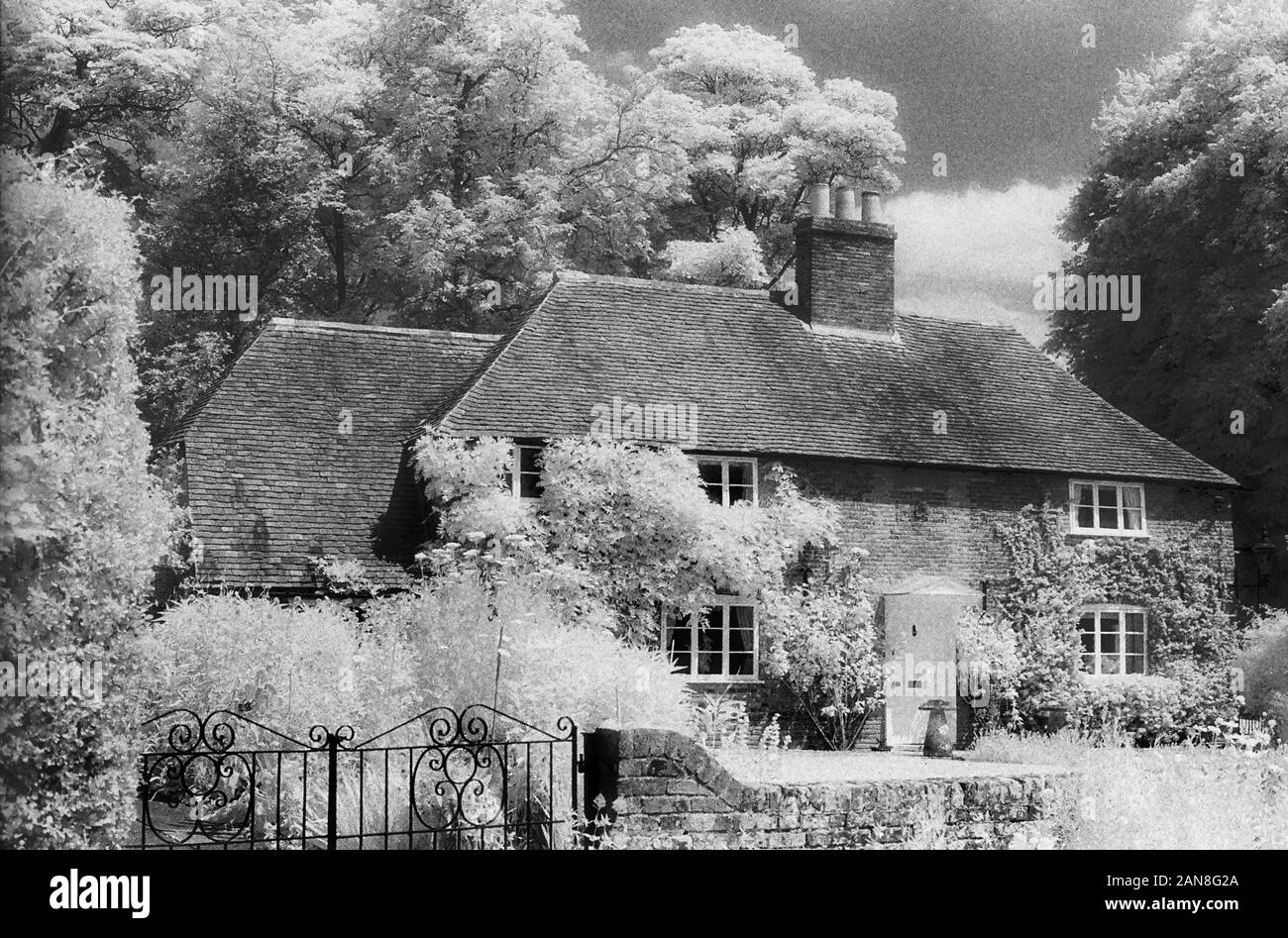 Grazioso cottage, Park Lane, Superiore Swanmore, Hampshire, Inghilterra, Regno Unito. In bianco e nero a raggi infrarossi filmstock, con la sua caratteristica prominente struttura della grana, ad alto contrasto e incandescente fogliame lucido. Foto Stock