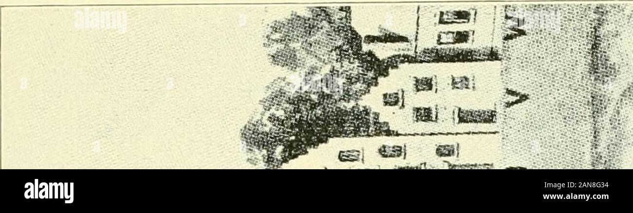 Gli immigrati scandinavi in New York, 1630-1674; con appendici su scandinavi in Messico e in America del Sud, 1532-1640, scandinavi in Canada, 1619-1620, alcuni scandinavi in New York nel XVIII secolo, immigrati tedeschi in New York, 1630-1674 . eburg, Hans Kierstede, genero del norvegese donna Anneke Jans.^^^ Haes venduto questo lotto, 1653, di Cornells van Steenwyck, amerchant, che probabilmente aveva il suo negozio su di esso. Il 11 aprile 1647, il governatore nominato Stuyvesant Haes ri-ceiver generale delle accise,^^^ mostrando così che egli aveva fiducia inhim, ciò che è anche notato nella lettera seguente, Foto Stock