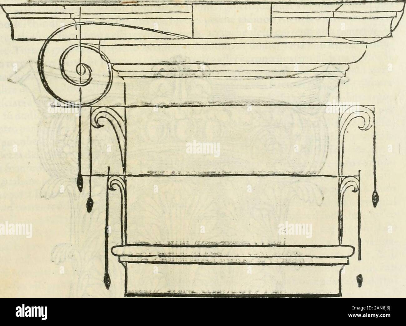 L'architettura . 1 n&LT;&LT; t^mmmmi Lffi R 0 SEtllM^ mi rf7 ho Tofcani ne trasferirono loro parque capitelli tutti gli ornamenti che epoterono trouave neglialtri, & tennono il medefimo ordine nel prezzo la campana, la cimafa, le foglie, se il fiore ,che iCorintryj, ma in cambio de viticci feciono certi manichi che vfeiflcro fuori fottolequattro cantonate della cimafa, chehaueuano daggetto dovuto parteci intere. Ma la frontedel capitello ritrouandofi per altro ignuda jprefeifuoi adornamenti dalli ionici ^percio-che in cambiò de viticci ella manda fuori que*"ìanieh*e cartocciata, & ha il labbro della ca-pana p Foto Stock