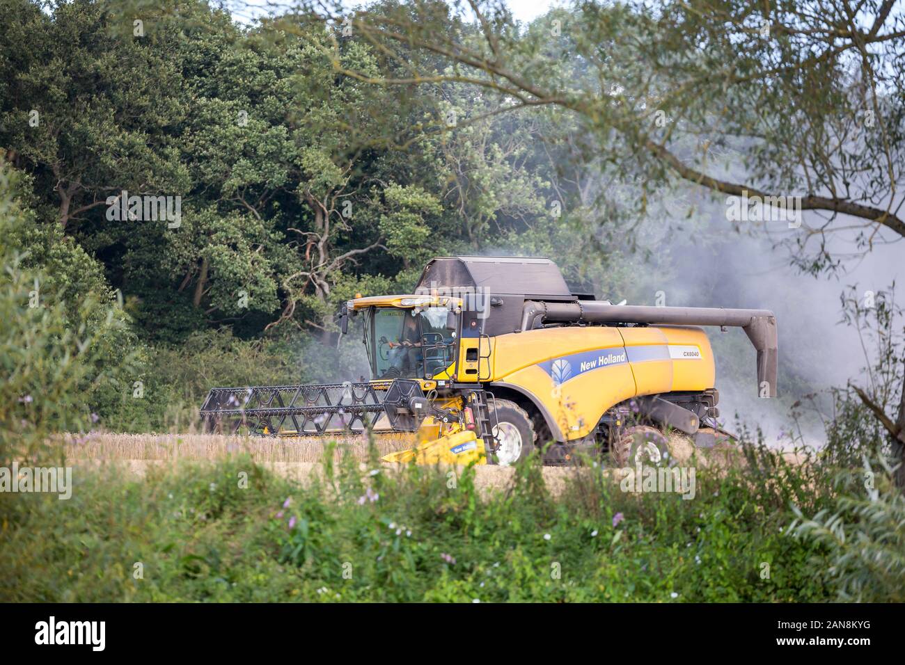 Vista laterale del Regno Unito isolato mietitrebbia occupato a lavorare nella campagna inglese. La coltivazione nel Regno Unito lavora con moderni macchinari agricoli. Foto Stock