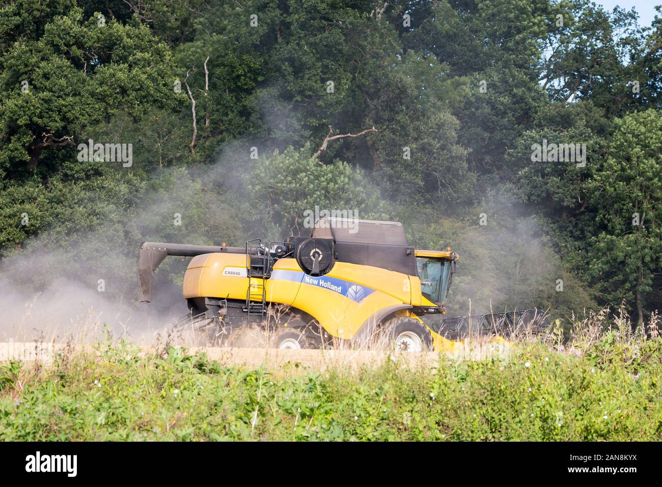 Vista laterale del Regno Unito isolato mietitrebbia occupato a lavorare nella campagna inglese. La coltivazione nel Regno Unito lavora con moderni macchinari agricoli. Foto Stock