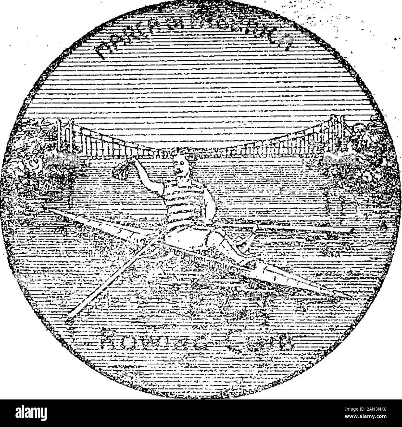 Boletín Oficial de la República Argentina1914 1ra sección . Acta N° 46.113. £üüaESfiffií33íffií asea sa^p?ffi m eBSgsa IO HO tj u tí é 0& U 1 i;: I :.-^fe;.:. FLOR DE CREM f FABRICADOS TODOS LOS DÍAS :}^$A Julio- 24 de 1914. - Antonio Zappa.-"- Substancias alimenticias o empleadascomo ingredientes en la alimentación, de la clase 22. v-3 agosto. %¡¡Í- : Julio. 23 de 1914 - Maítia Locatelli.Cereales elaborados, aceite de oliva yotros comestibles, malta, frutas secas yen conservas, harina, féculas, tés, caffè,sagú, cioccolatini, cacao, conservas decarnes, frutas, legumbres, mariscos ypesca-DOS, espec Foto Stock