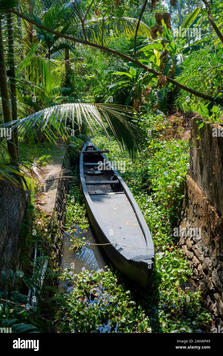 Kumarakom, kerala, India del sud Foto Stock