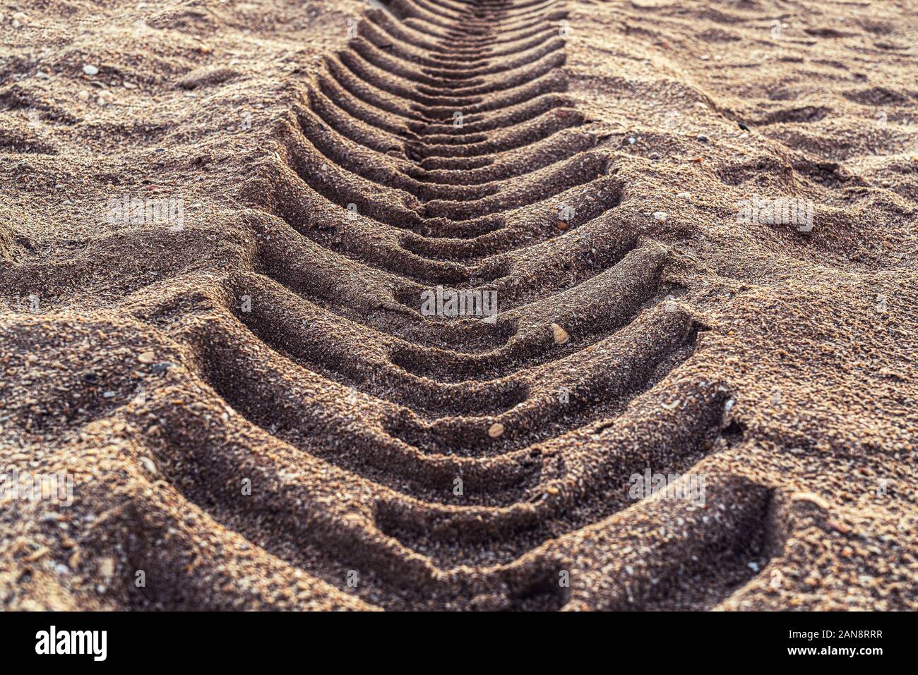 Battistrada del pneumatico segni sulla sabbia Foto Stock