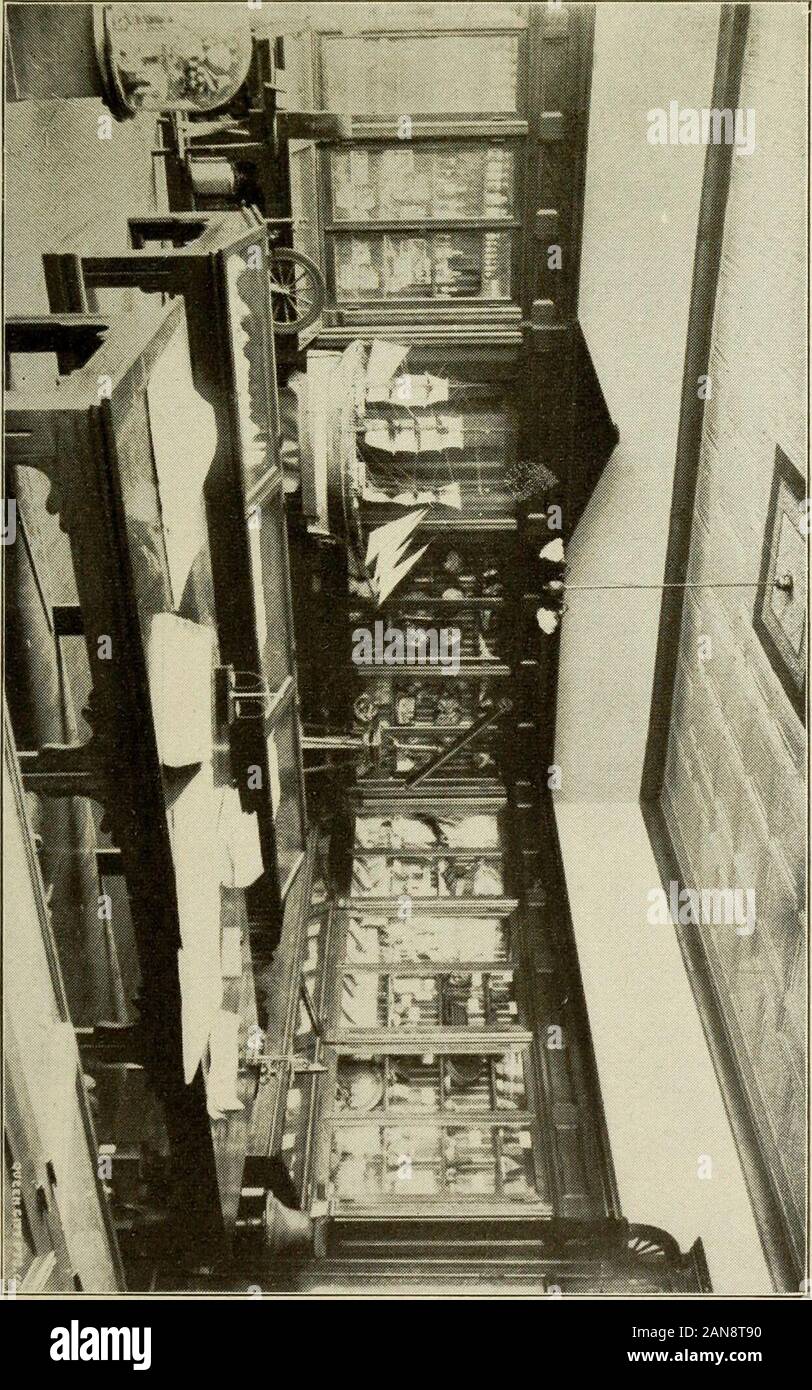 Catalogo degli ufficiali e gli studenti di StMary's College : Belmont, Gaston County, North Carolina . LEAGUE Julius A. Rousseau, capitano di grigi e College TeamW. Archibald Rousseau, Browns W. Bowen Gonzalez, Arancione Milton E. Rohleder, MINIM BASE LEGA A SFERA Raymond P. Sheehan, capitano di CubsPaul J. Brown, palla a mano LEAGUE CAPITANI DI SENIORS Julius A. Rousseau W. Archibald Rousseau Clarence F. Wetherall Garland F. GrimshaweG. Francesco Allen Thomas F. Daley cinquantatre] CAPITANI DI JUNIORS James P. Rousseau Rupert Bliley George B. Loughran John H. Vonderlehr boschetti di Michael Henry F. JANSEN SE Foto Stock