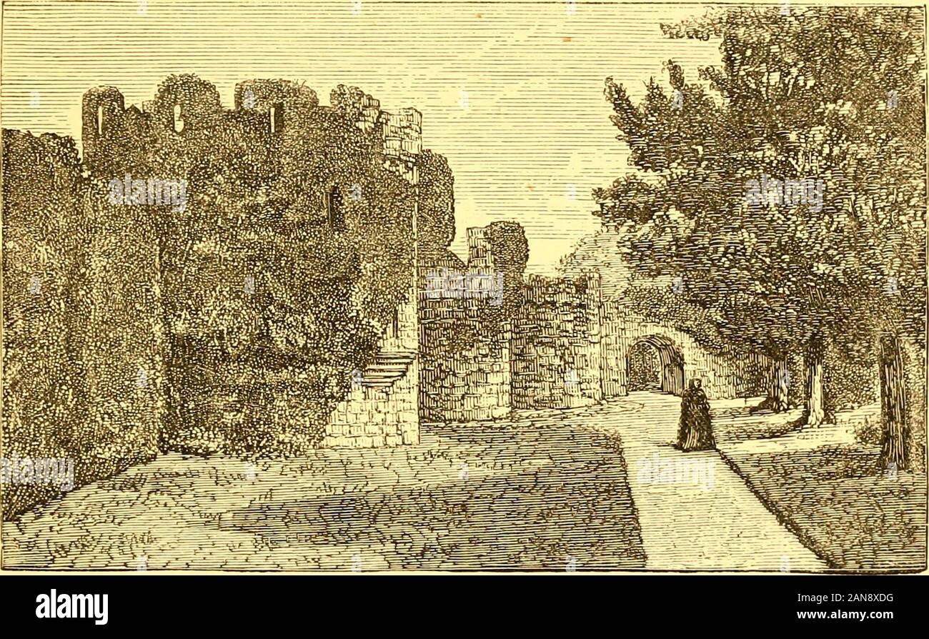 Annali e antichità di contee e le famiglie della contea del Galles; contenente un record di tutti i ranghi della gentry ..con molte antiche genealogie e memoriali di vecchi e famiglie estinte . ished nel Cuiubro Ih-itoii. Sembra che questo spot interessanti ave da tempo chiamato immemorialbeen bv (untr- persone Yiiys Ihonuuii, l isolotto di Bronwen. Per enumerare gli antichi luoghi di sepoltura, tl&GT;e tunuili e la ciste è:r.. whi( h hanno antichità storico. 21 scoperto in Anglesey, sarebbe fuori luogo e troppo noioso in queste pagine. Tiieinformation deve essere ricercato nella Foto Stock