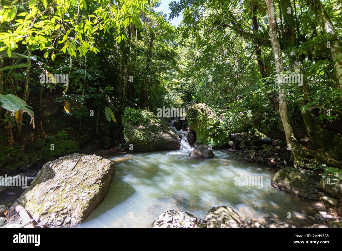 Schoelcher, Martinica, FWI - Fiume Duclos a cascata e Didier Trail Foto Stock