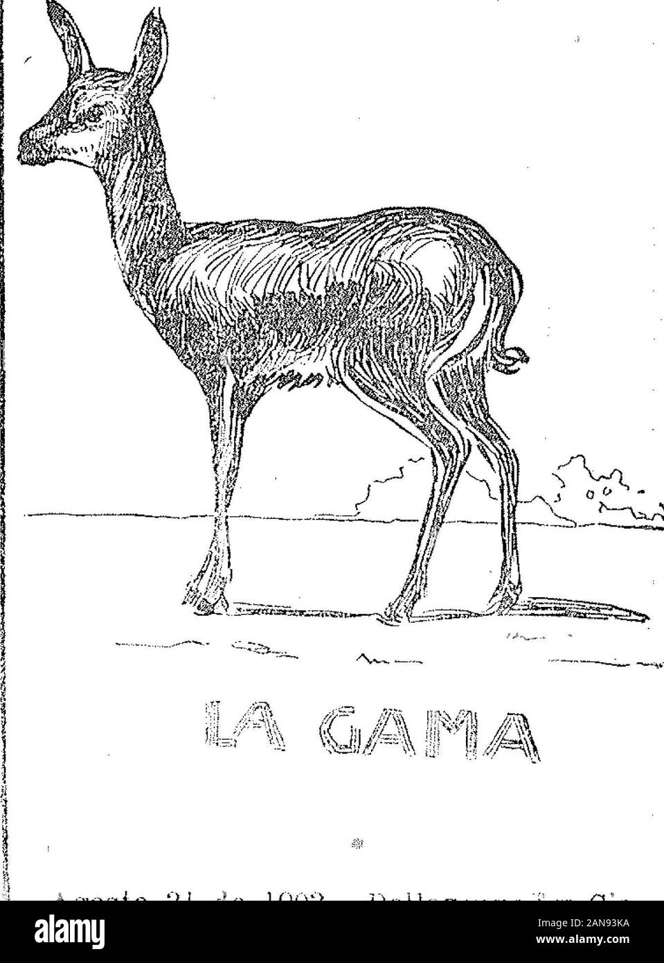 Boletín Oficial de la República Argentina1903 1ra sección . È^N "a E^a, pc™3 y*^ |f í"íí-*¡ m,#Ík ho iL* I % I 1. Í Jíf5;*^SHí3íraK5^lí. ^^ ft/0RA SUS Sli1^-. ^ir^ Agosto;27de 3 903. María Teresa Rotta,--Distinguir los 79,..con excepción de aperital. 0, MITRE 1794, ,, " w,)U,fMai.^SM Agosto 3 i de 19ü3.-Deilazoppa y Cía.- ^^^^^^M -¡Distinguir los artículos de las* categorie 1 á rtículos de las categorie 1 á¡43 y 61 á 79, Chacabuoo 167. v-2-Septiembre. I y5 Septiembre. 12968 BOLEím-COTCÍÁL Acial0 £2.329 ¡Tá 3IVÑOí0d30X 9 j W^r- -&LT;£^w ^ Foto Stock