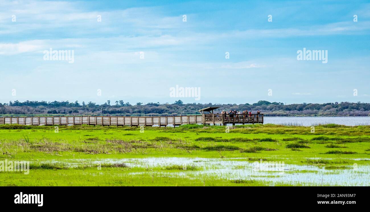 Persone su Bird a piedi su superiore Myakka Lago in Myakka River State Park in Sarasota Florida, Stati Uniti Foto Stock